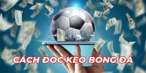 Hướng Dẫn Đọc Kèo Bóng Đá - Chia Sẻ Cách Đọc Chuẩn 2025