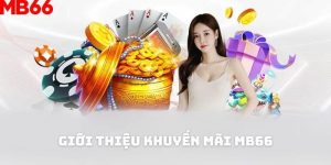 Mb66 Tặng 66k - Khuyến Mãi Hấp Dẫn, Kích Thích Trải Nghiệm
