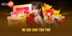 New88 Tặng 58K - Mã Thưởng Đặc Sắc Dành Cho Hội Viên