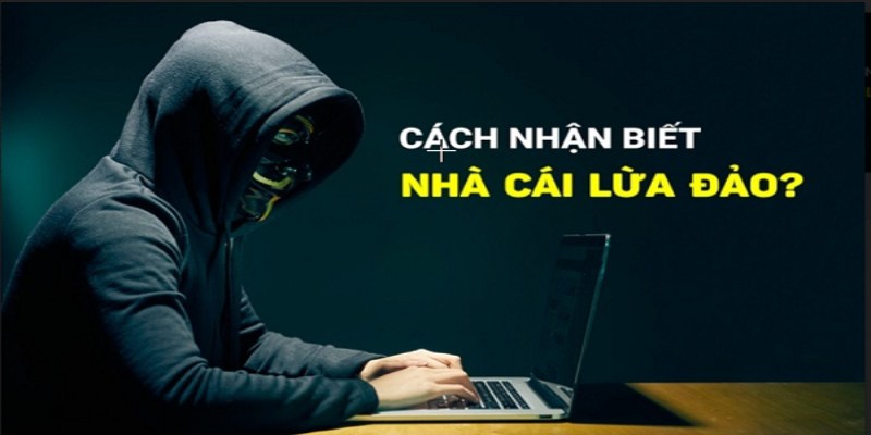 Nhà cái lừa đảo không minh bạch trong giao diện