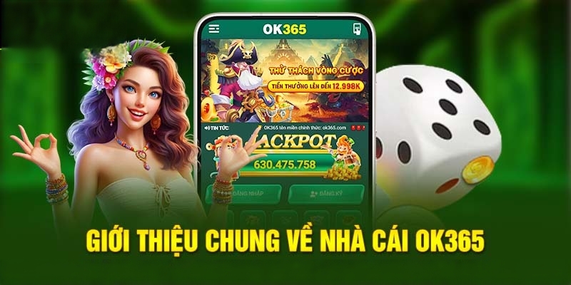 Sơ lược điều cần biết về sân chơi OK365