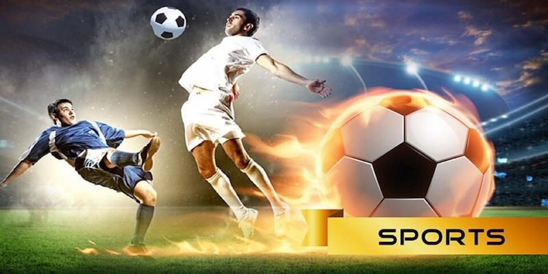 Tổng quan về top sân chơi thể thao 2025