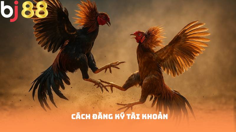 Cách đăng ký tài khoản