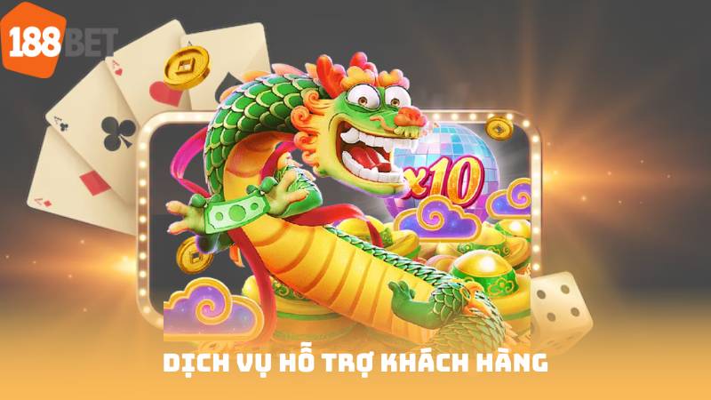 Dịch vụ hỗ trợ khách hàng