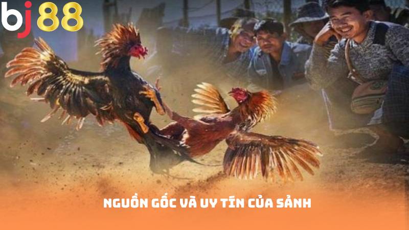 Nguồn gốc và uy tín của sảnh