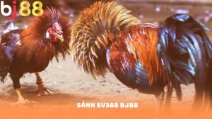 Sảnh SV388 BJ88 – Điểm Đến Hấp Dẫn Cho Tín Đồ Đá Gà Online